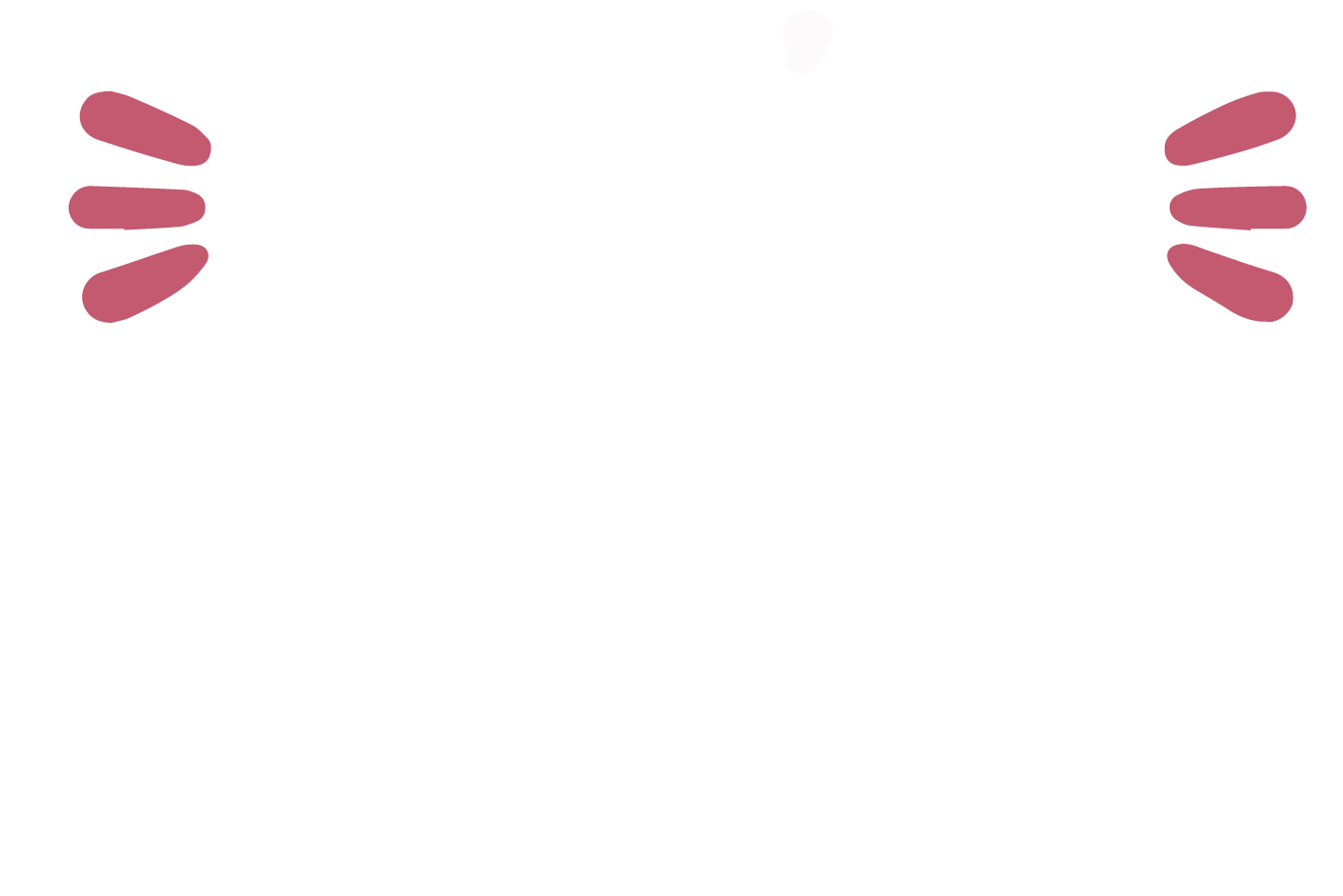 Logo Senior Coach